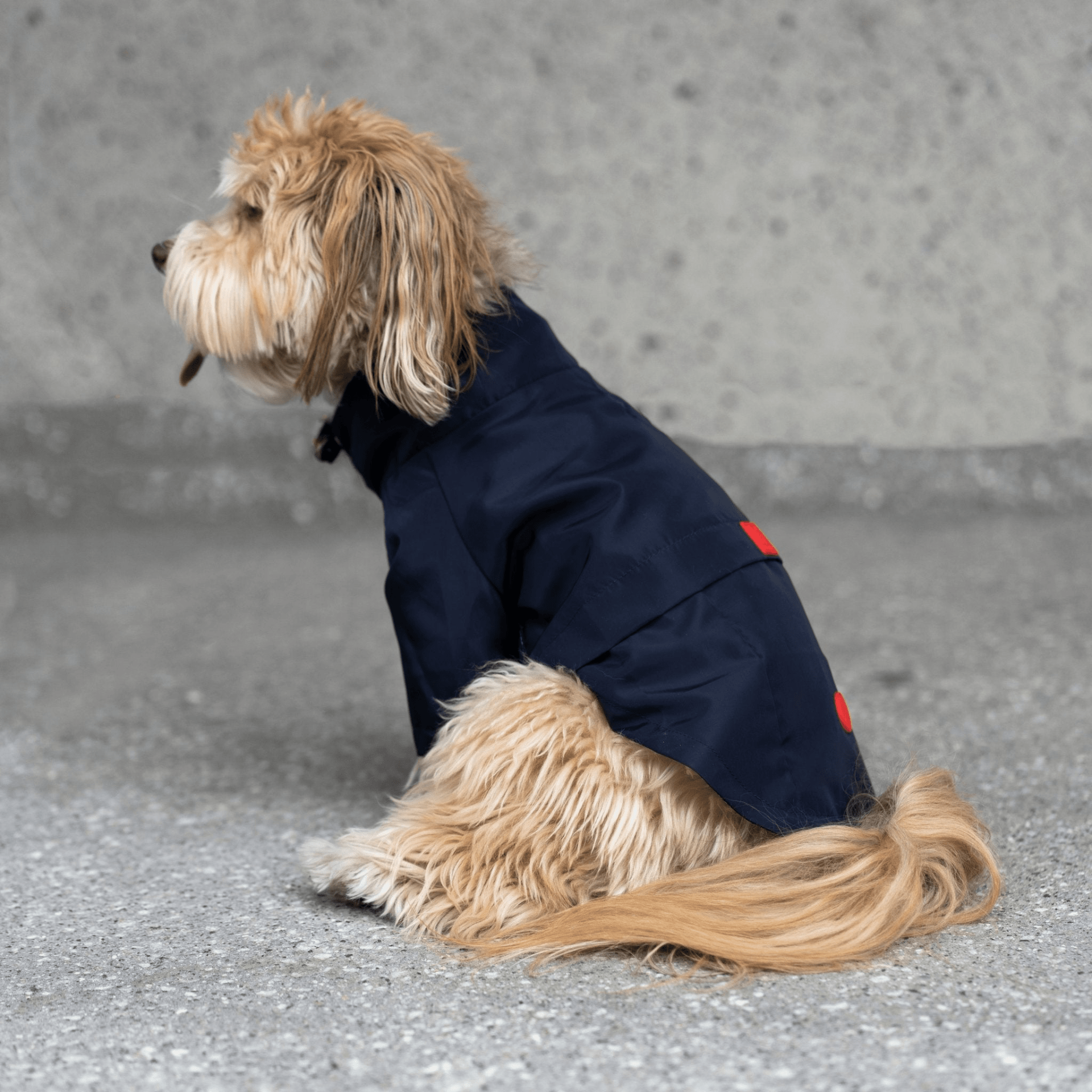 Dog and Pet Stuff Jean-Paul Dog Raincoat