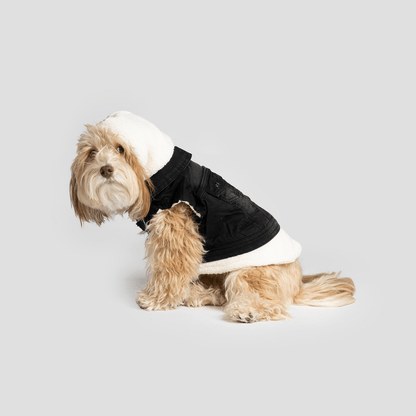 Dog and Pet Stuff Justin - Denim Dog Jacket (Black)