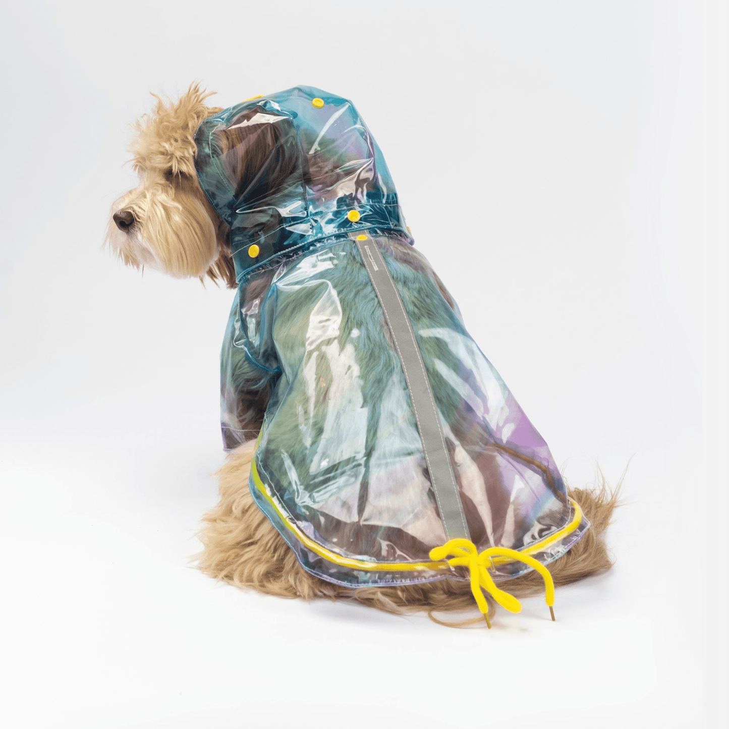 Dog and Pet Stuff Kinney Dog Translusent Raincoat