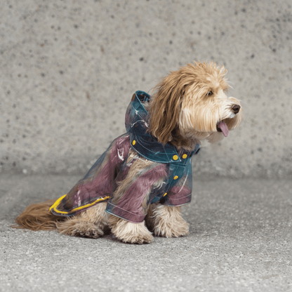 Dog and Pet Stuff Kinney Dog Translusent Raincoat