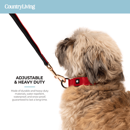 Dog and Pet Stuff LED Dog Collar - Red