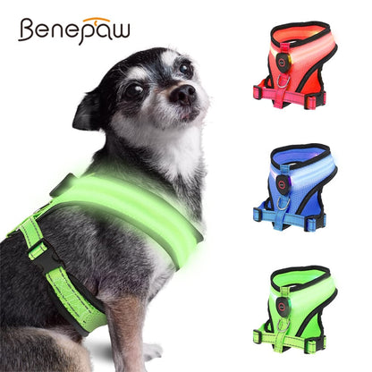 Dog and Pet Stuff LED Light Dog Harness
