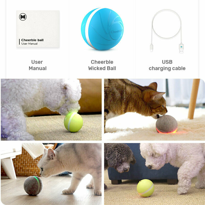 Dog and Pet Stuff LED Pet Ball