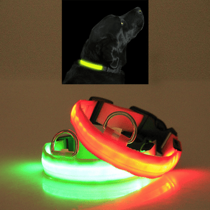 Dog and Pet Stuff LED PET Safety Halo Style Collar