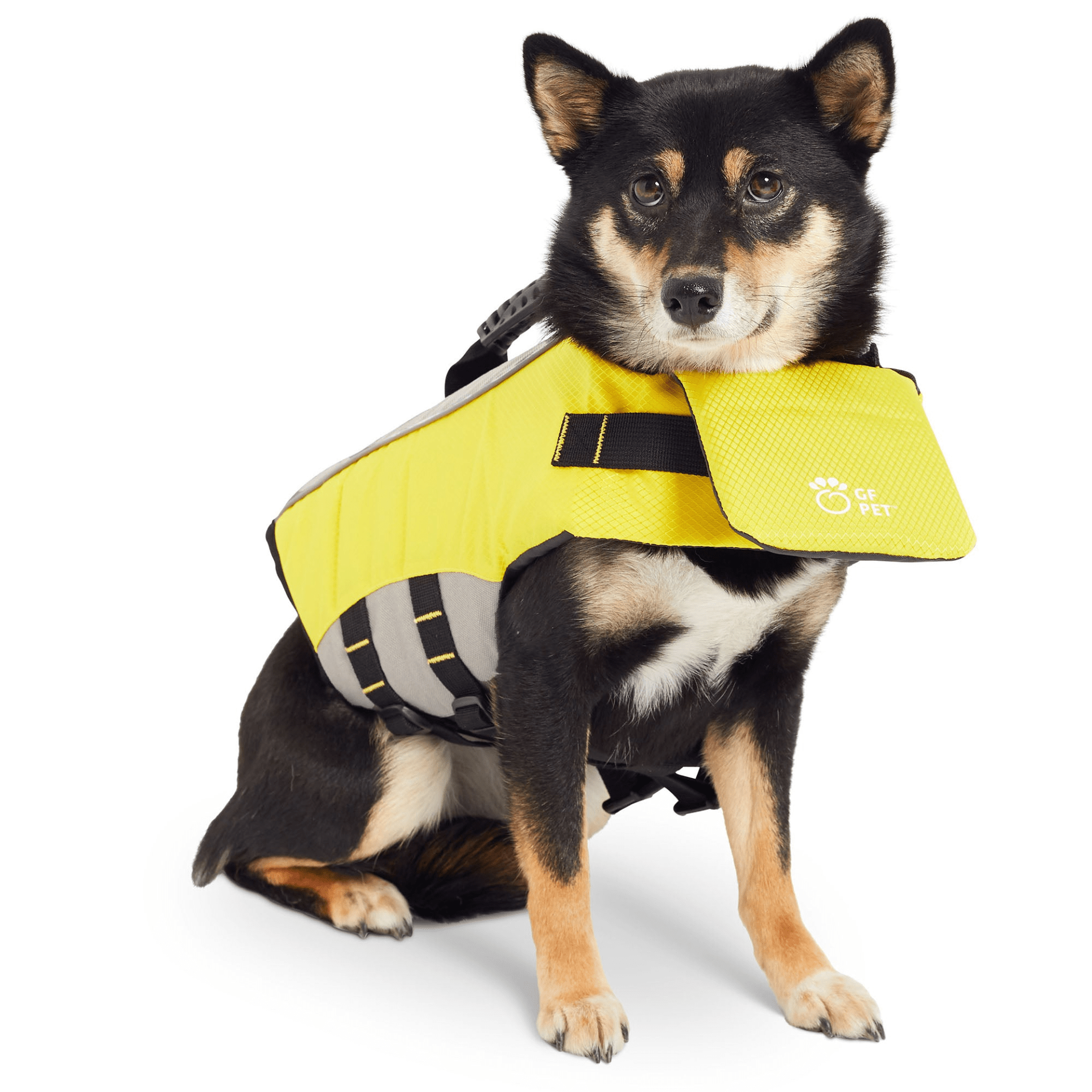 Dog and Pet Stuff Life Vest - Dog Life Jacket