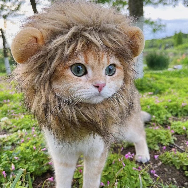 Dog and Pet Stuff Lion Mane Cat Costume