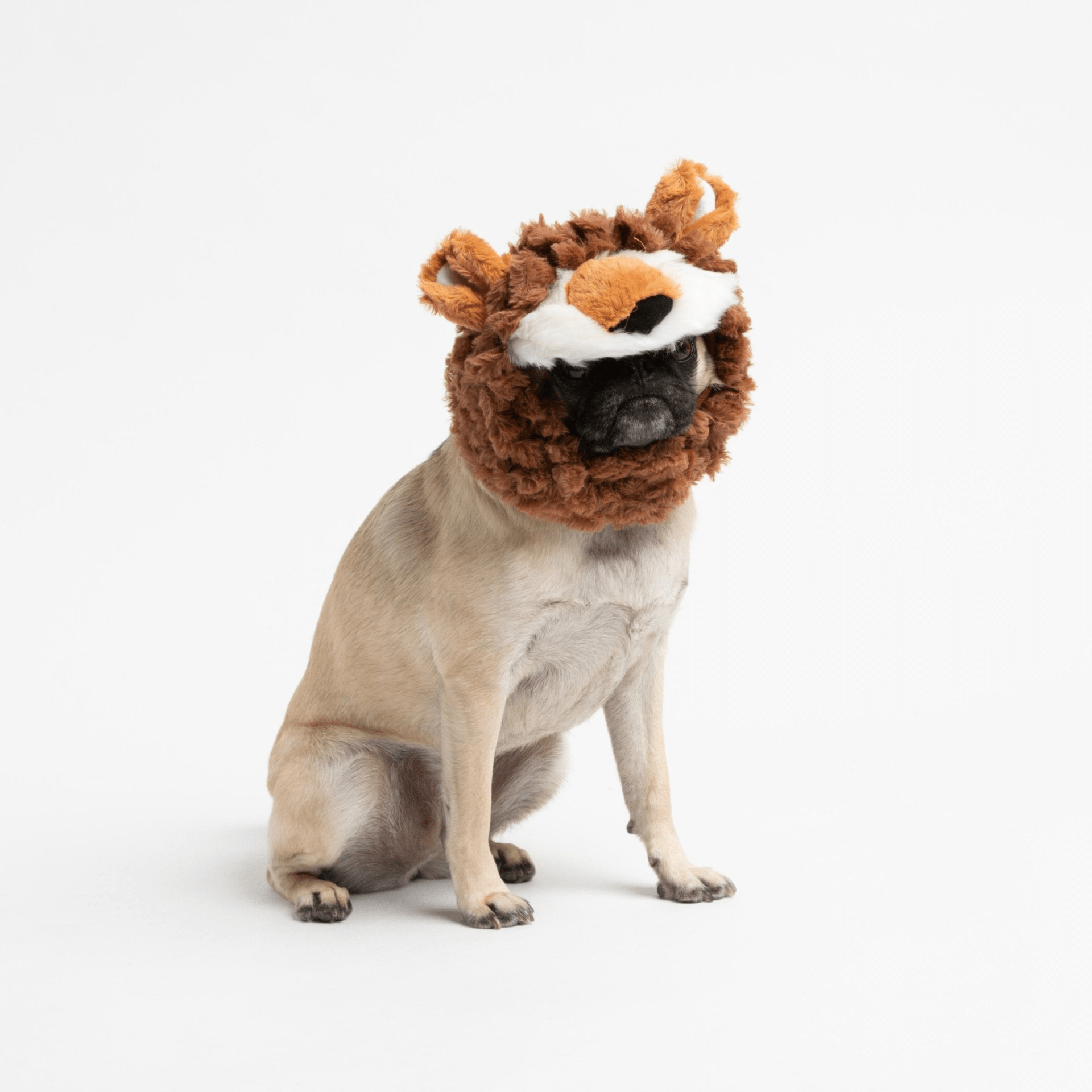 Dog and Pet Stuff Lion Wig Costume