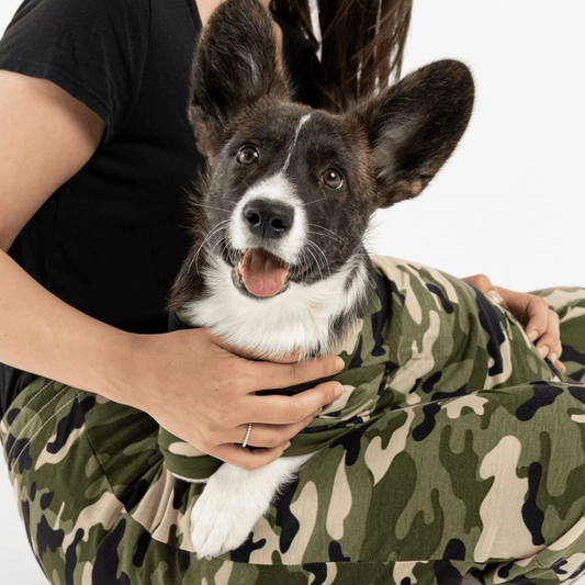 Dog and Pet Stuff Matching Human & Dog Pajama - Camo