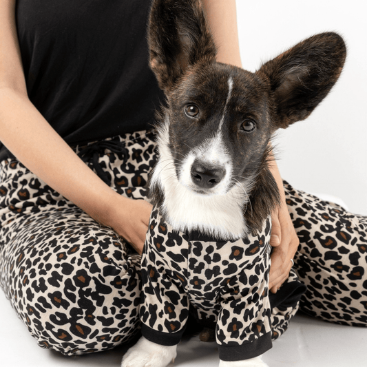 Dog and Pet Stuff Matching Human & Dog Pajama - Leopard
