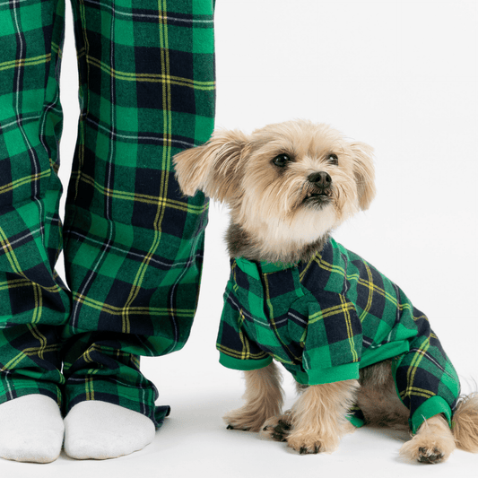 Dog and Pet Stuff Matching Human & Dog Pajama - Plaid Green