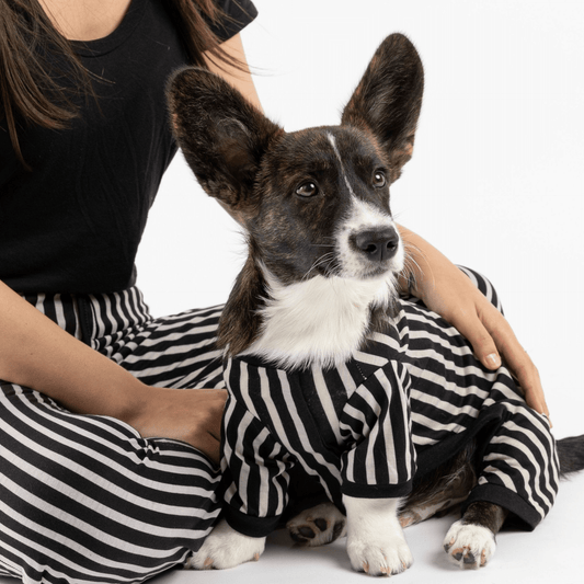 Dog and Pet Stuff Matching Human & Dog Pajama - Stripe
