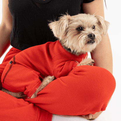 Dog and Pet Stuff Matching Human & Dog Thermal Pajama - Red