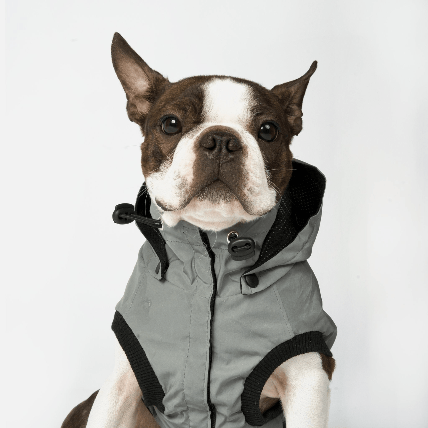 Dog and Pet Stuff Max - Reflective Raincoat