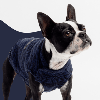 Dog and Pet Stuff Mia Dog Sweater - Blue