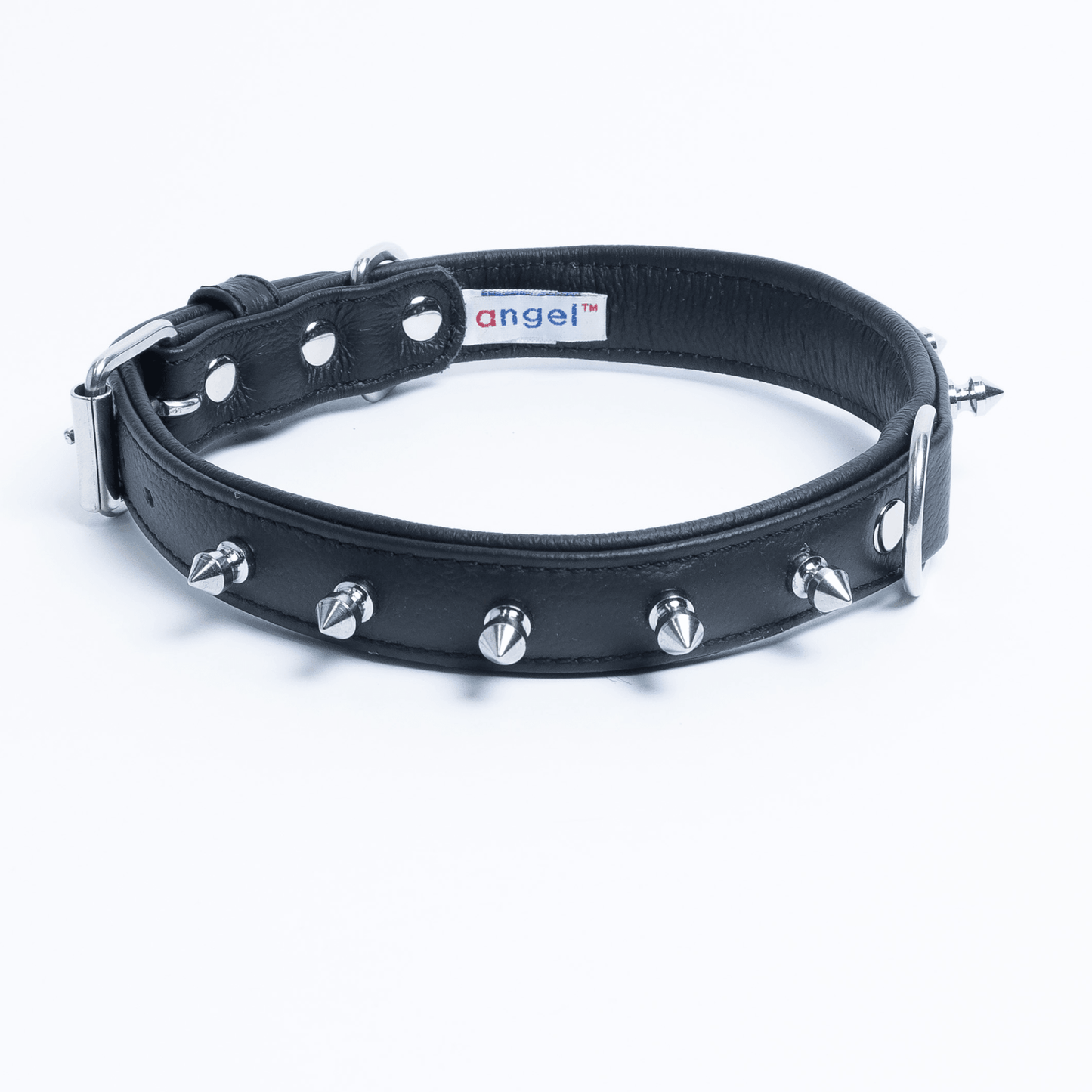 Dog and Pet Stuff Midnight Black / 16” x 3/4” Rotterdam Spiked