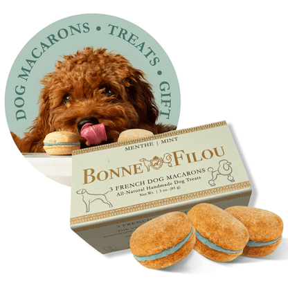 Dog and Pet Stuff Mint Dog Macarons (Box of 3)