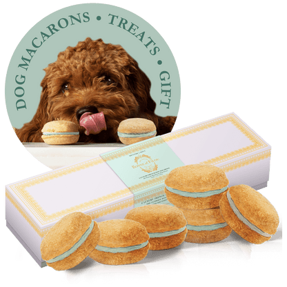 Dog and Pet Stuff Mint Dog Macarons (Box of 6)