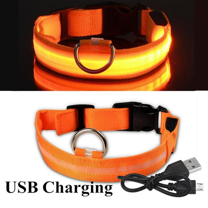 Dog and Pet Stuff Orange-1 / L Adjustable LED Pet Collar