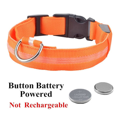 Dog and Pet Stuff Orange / L Adjustable LED Pet Collar