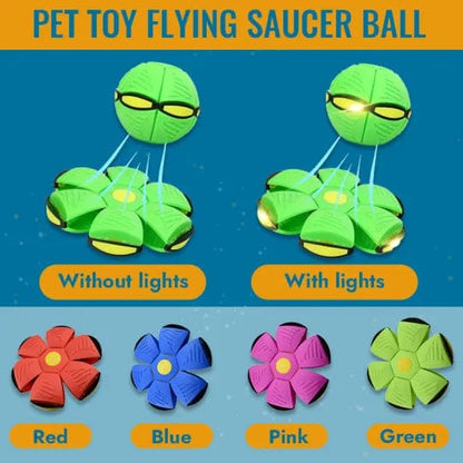Dog and Pet Stuff Pet Flying Saucer Ball