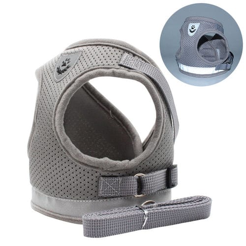Dog and Pet Stuff Pet Harness Gray / S CozyCat Pet Harness and Leash