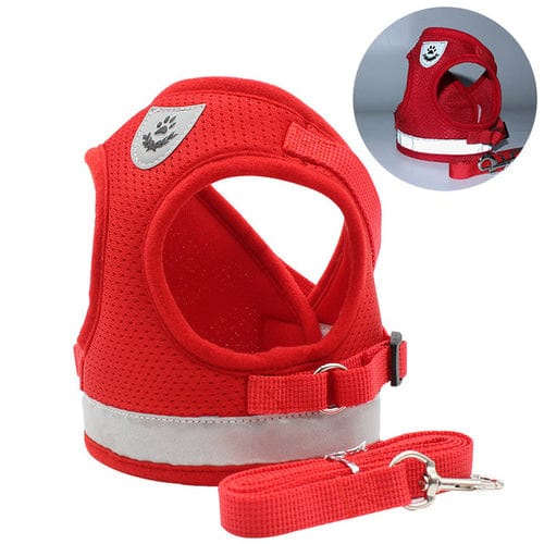 Dog and Pet Stuff Pet Harness Red / L CozyCat Pet Harness and Leash