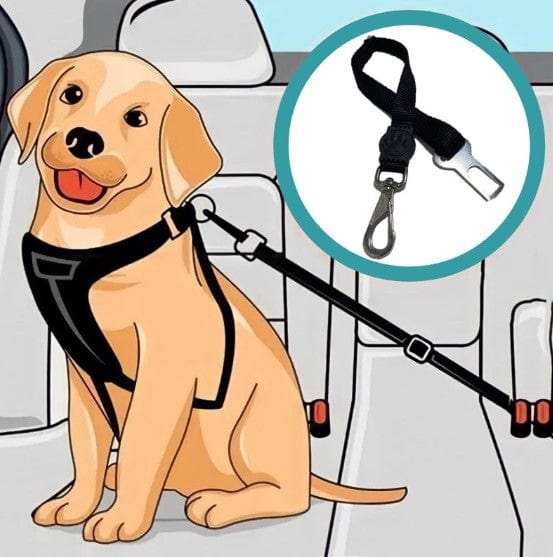 Dog and Pet Stuff Pet Seatbelt Pet Seatbelt