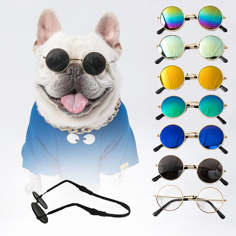 Dog and Pet Stuff Pet Sunglasses