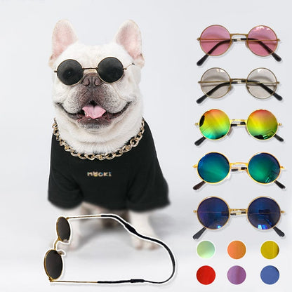 Dog and Pet Stuff Pet Sunglasses