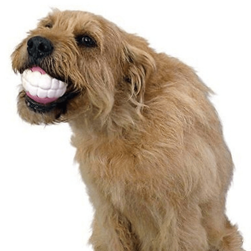 Dog and Pet Stuff Pet Teeth Silicon Chew Ball Toy for Large Breeds