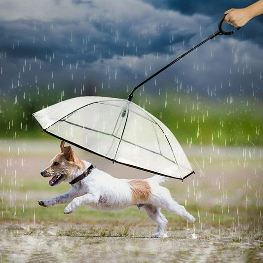 Dog and Pet Stuff Pet Transparent Umbrella