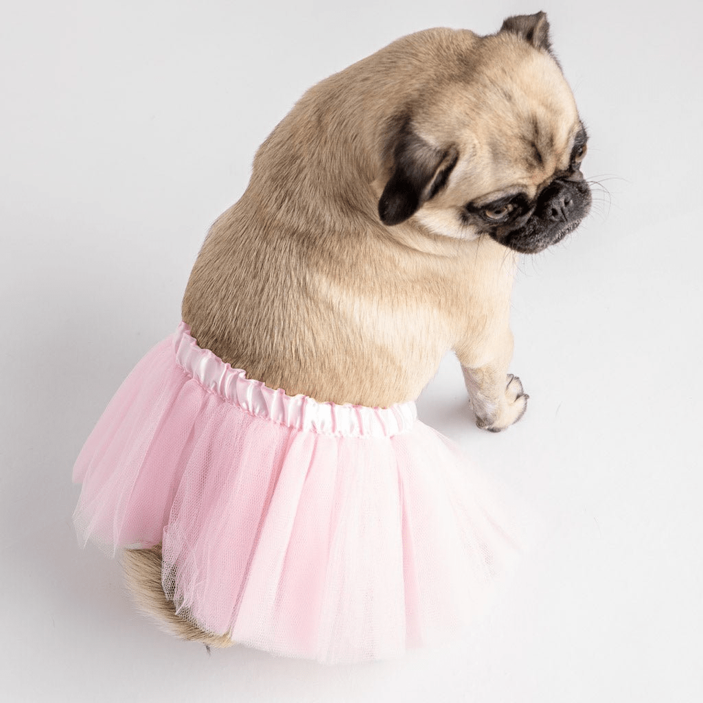 Dog and Pet Stuff Pink Tutu Costume
