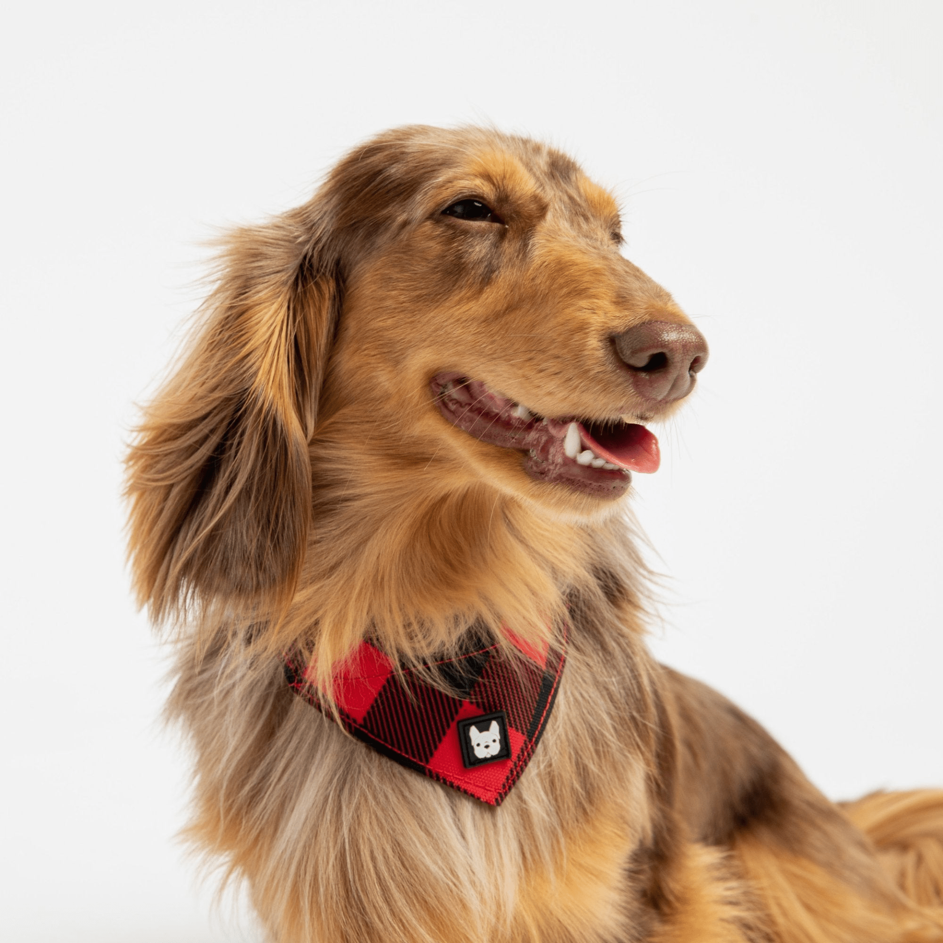 Dog and Pet Stuff Poplin Bandana Dog Collar - Red Plaid