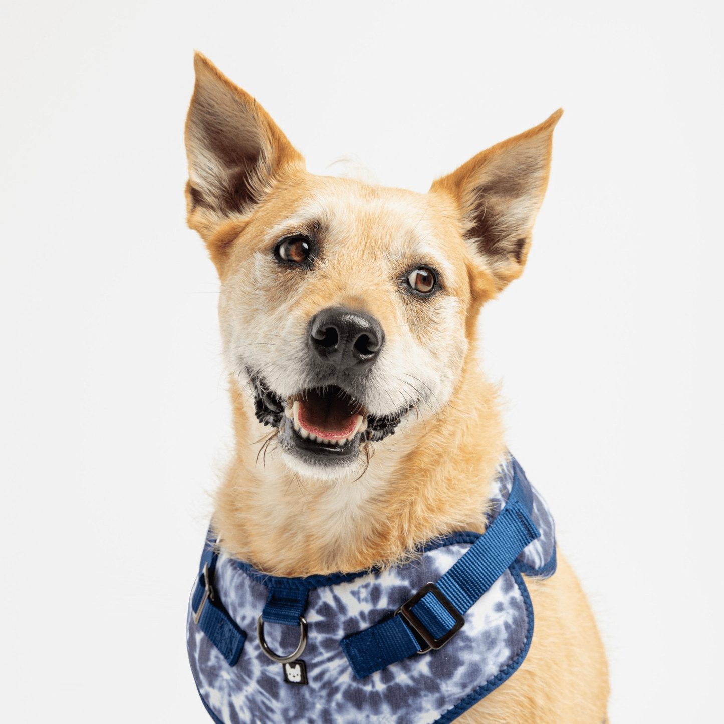 Dog and Pet Stuff Poplin Dog Harness - Blue Tie Dye