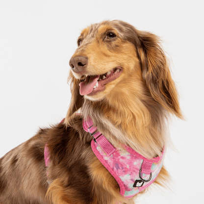 Dog and Pet Stuff Poplin Dog Harness - Pink Tie Dye
