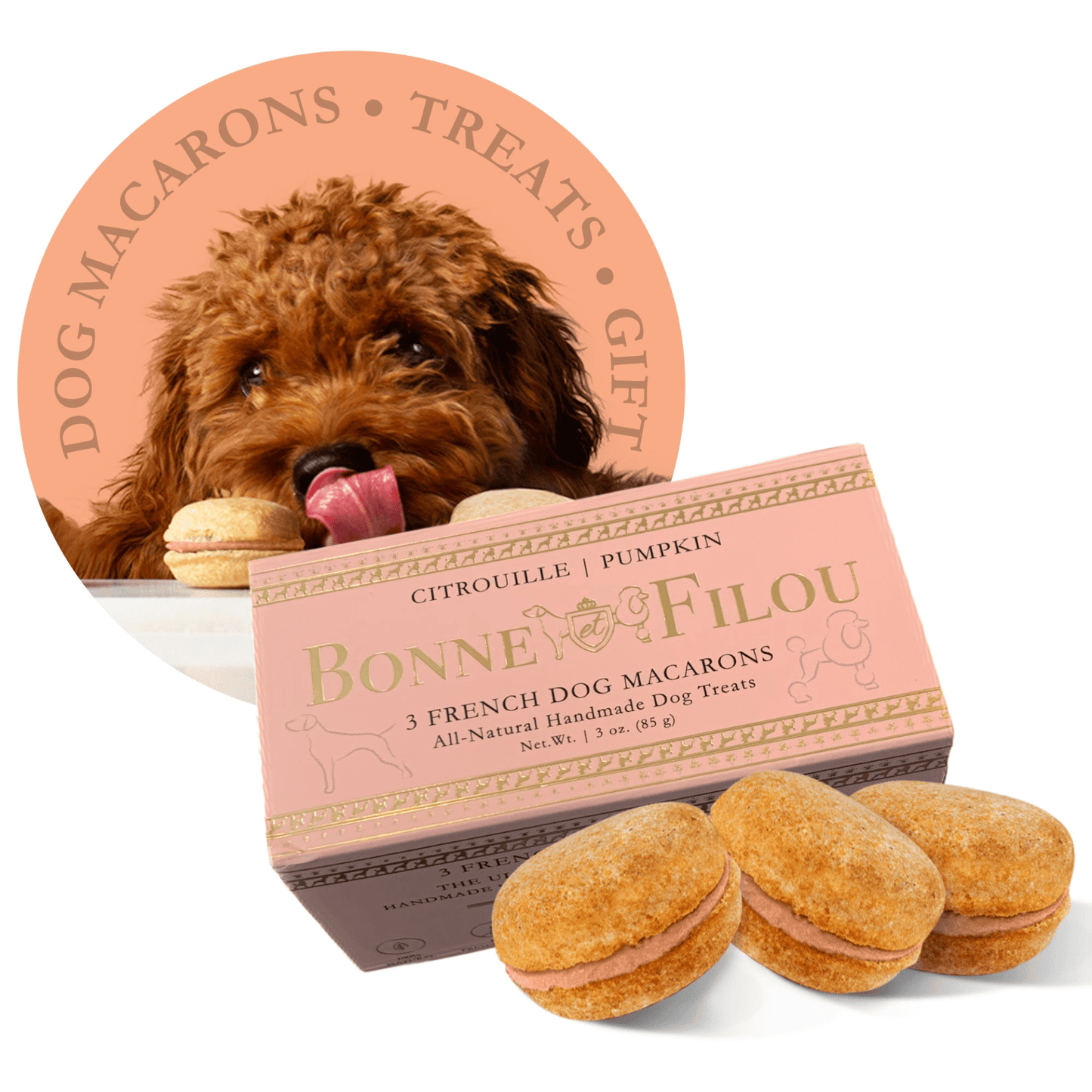 Dog and Pet Stuff Pumpkin Dog Macarons (Box of 3)