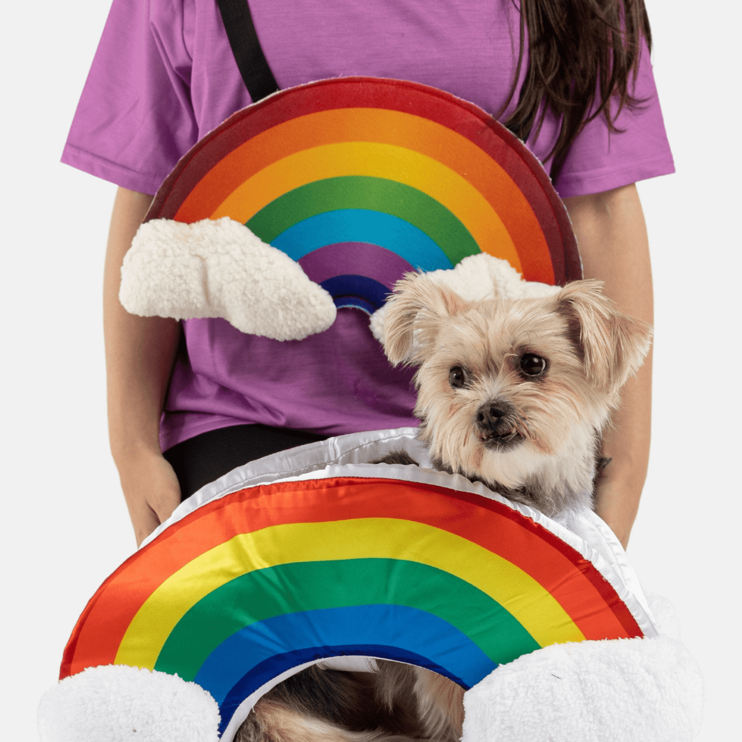Dog and Pet Stuff Rainbow Dog Costume