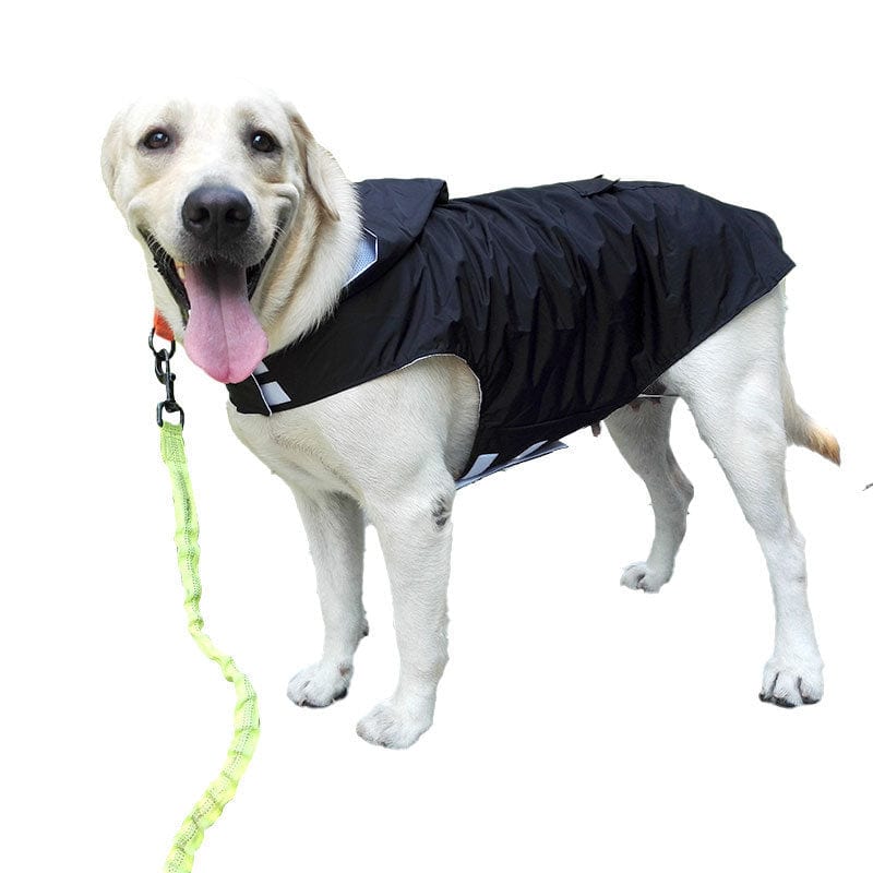 Dog and Pet Stuff Raincoat pet supplies