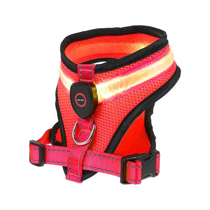 Dog and Pet Stuff Red / L LED Light Dog Harness