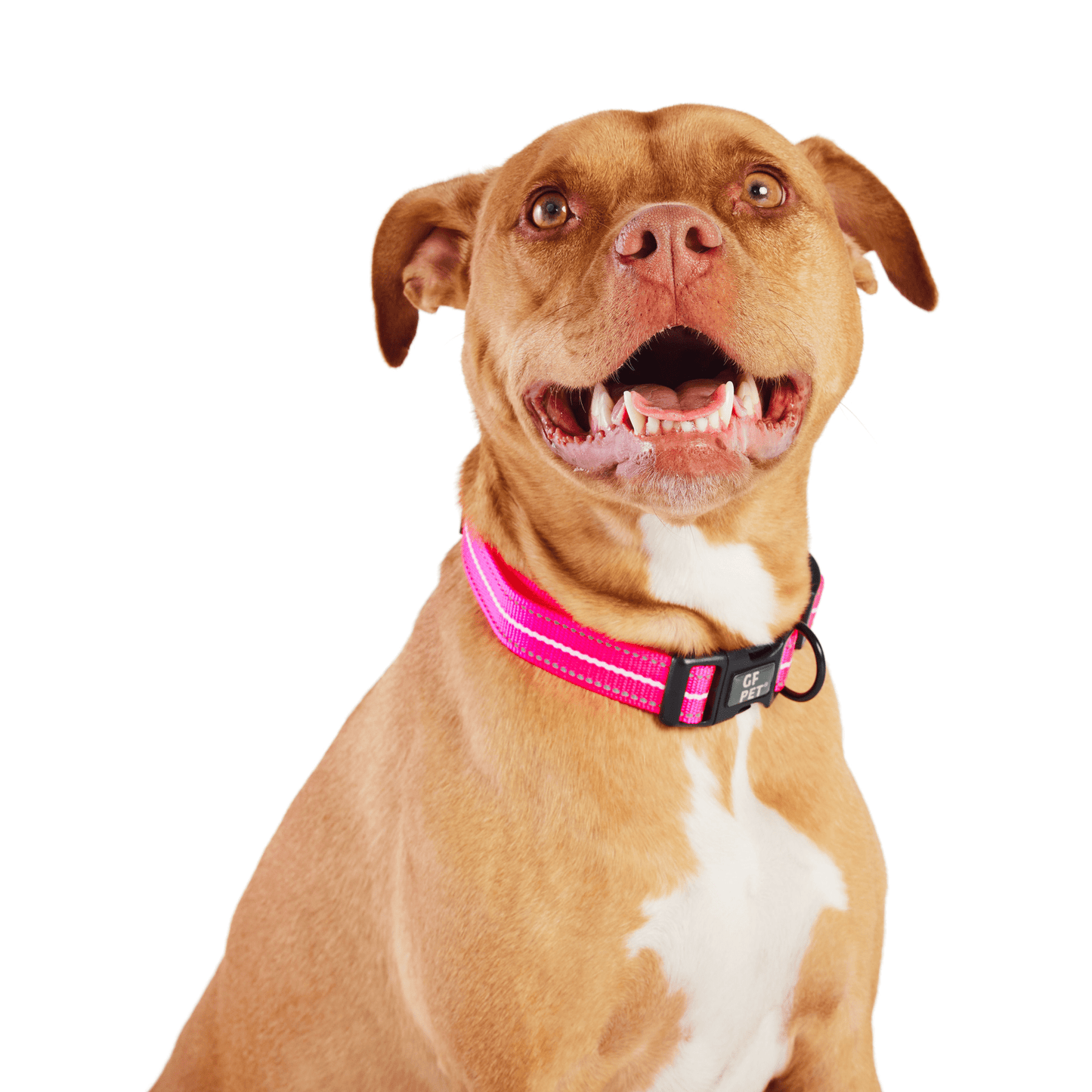 Dog and Pet Stuff Reflective Collar - Neon Pink
