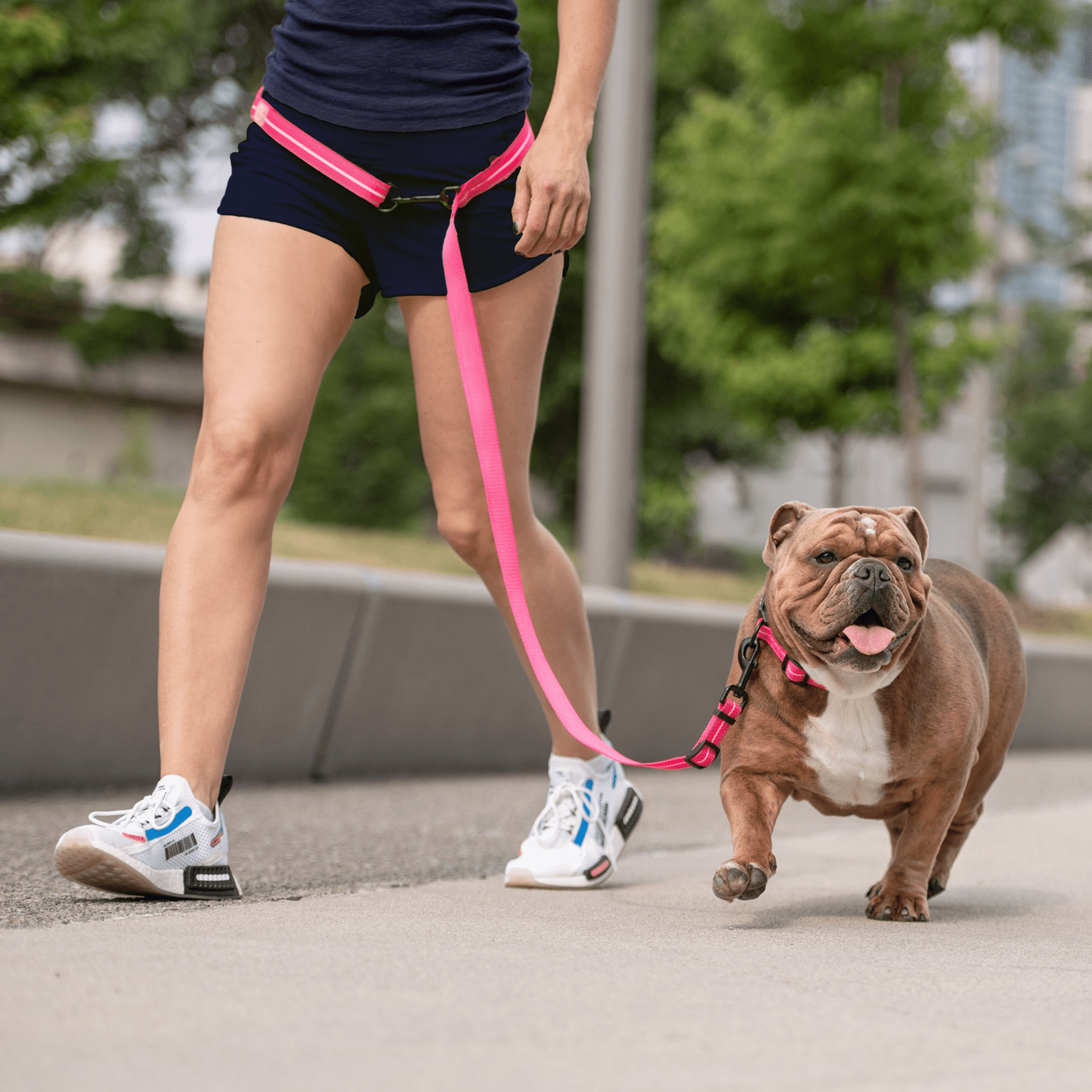 Dog and Pet Stuff Reflective Leash Neon Pink