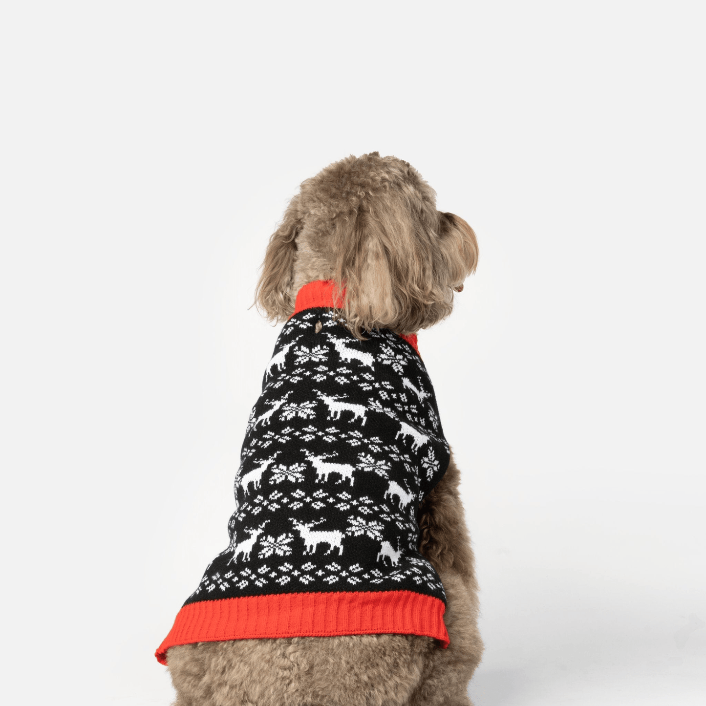 Dog and Pet Stuff Reindeer Dog Sweater