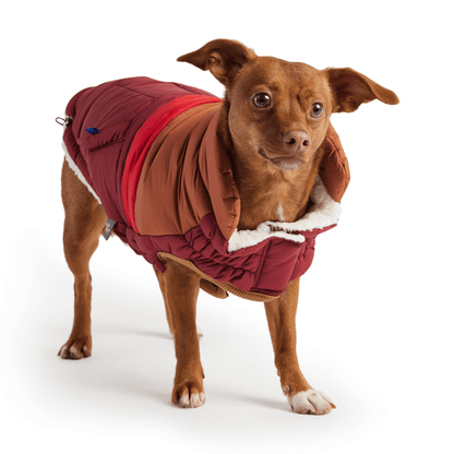 Dog and Pet Stuff Retro Puffer - Dark Red