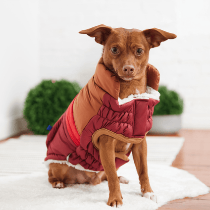 Dog and Pet Stuff Retro Puffer - Dark Red