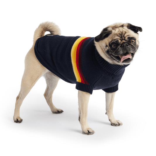Dog and Pet Stuff Retro Sweater - Navy