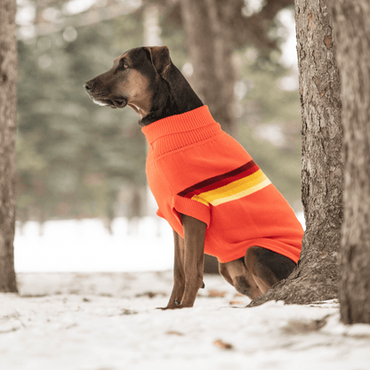 Dog and Pet Stuff Retro Sweater - Orange
