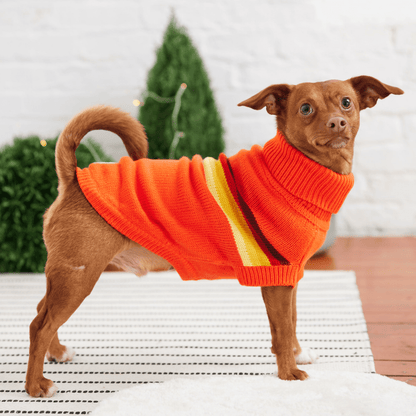 Dog and Pet Stuff Retro Sweater - Orange
