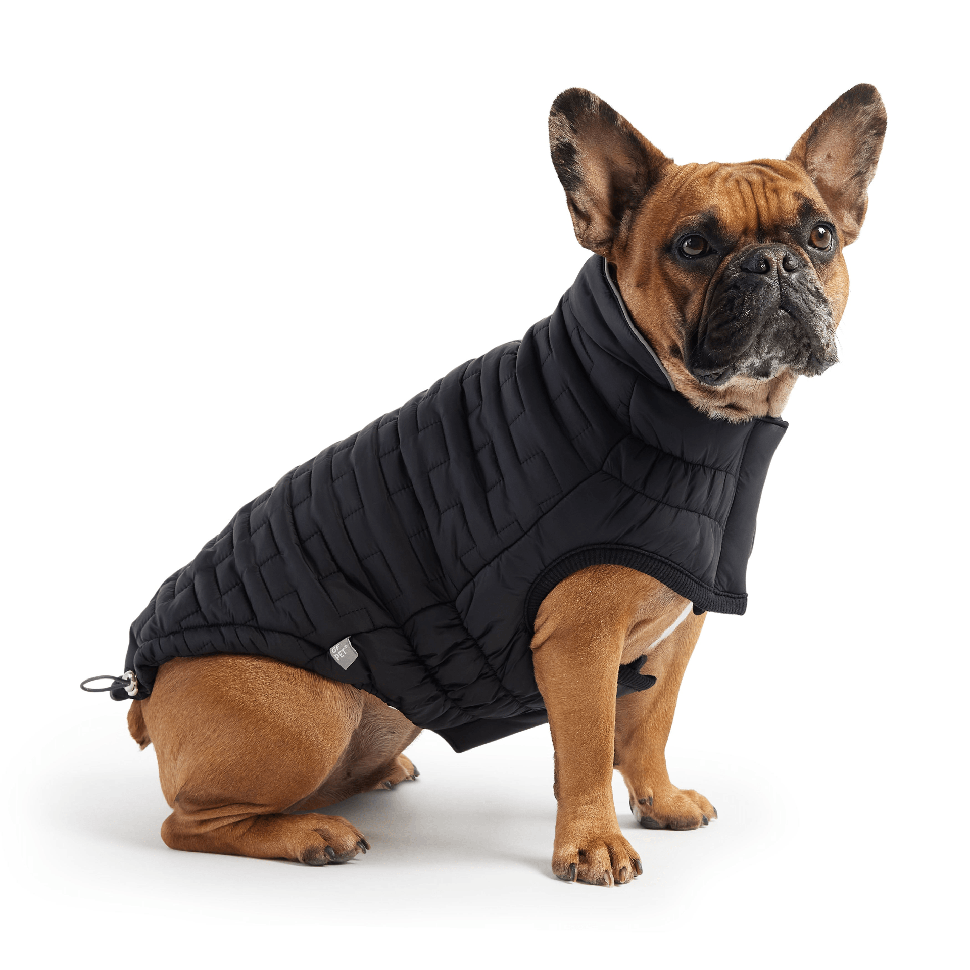 Dog and Pet Stuff Reversible Chalet Jacket - Black