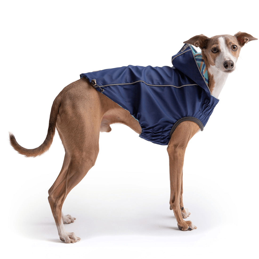 Dog and Pet Stuff Reversible Elasto-Fit Raincoat - Navy