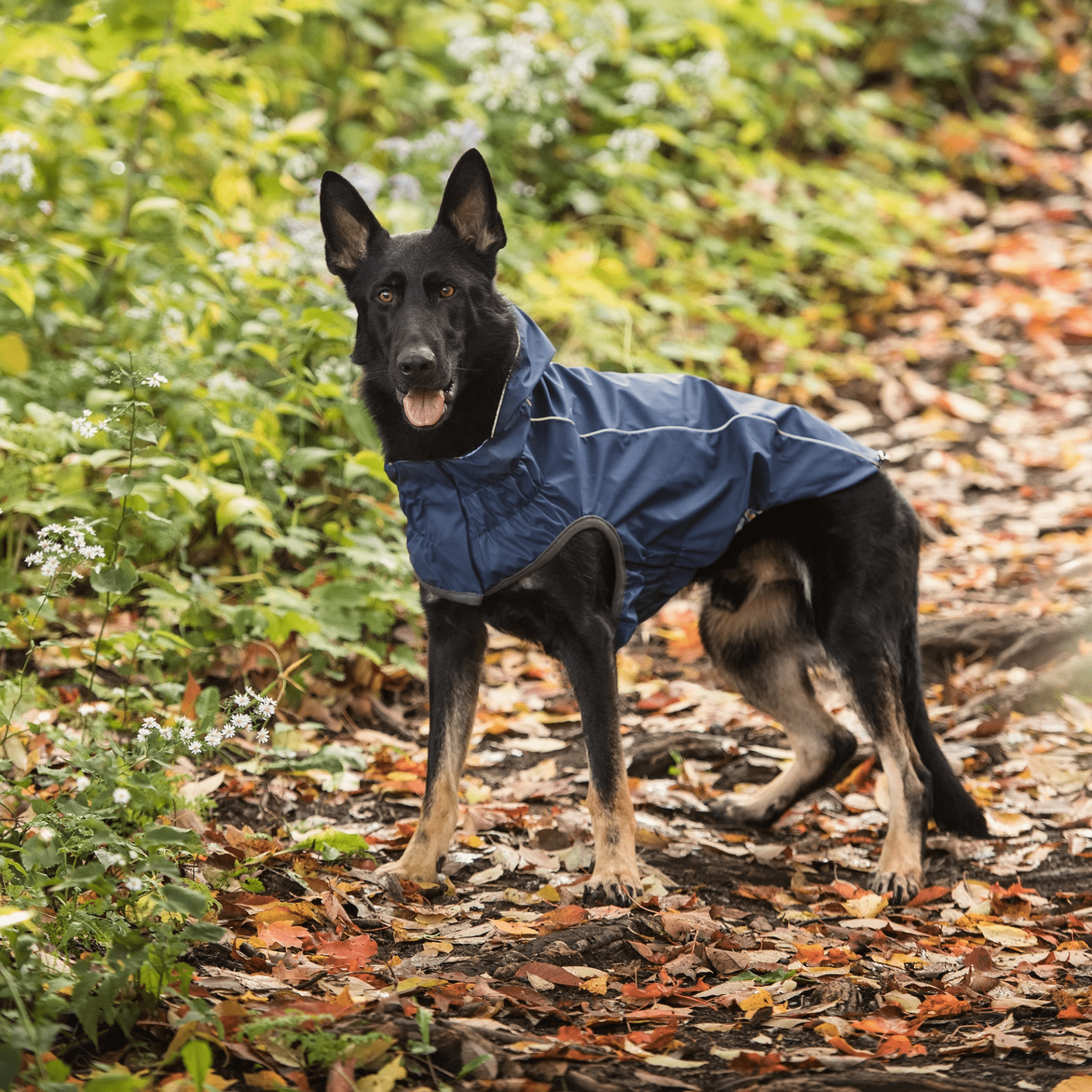 Dog and Pet Stuff Reversible Elasto-Fit Raincoat - Navy